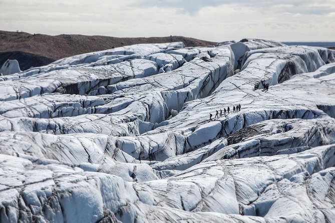 Blue Ice Discovery – Guided Glacier Hike from Skaftafell - Your Guide Makes the Difference, From Emilia to Rob