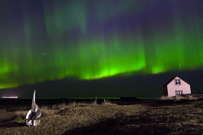 Blue Lagoon and Northern Lights Tour Including Admission - Should you book this Blue Lagoon and Northern Lights combo?