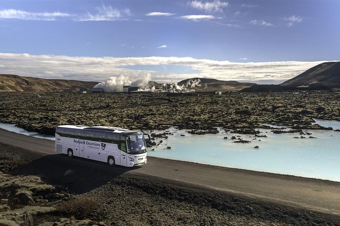 Blue Lagoon & Northern Lights Tour from Reykjavik - Group size, language, and who this tour suits