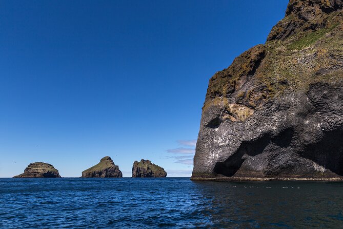 Boat Tour in Vestmannaeyjar - Wildlife chances, including the wow factor