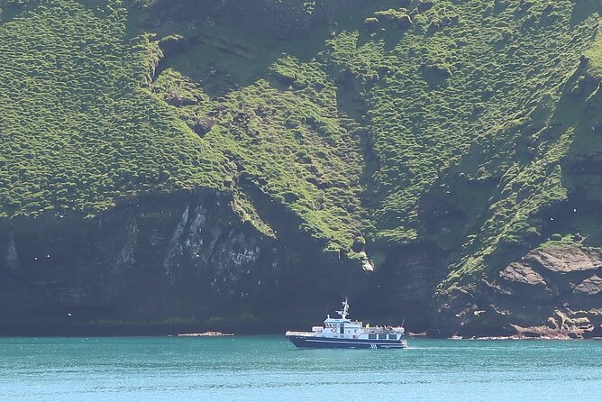Boat Tour in Vestmannaeyjar - Price, value, and what you get in 90 minutes