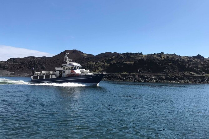 Boat Tour in Vestmannaeyjar - Meet your guide on Heimaey grounds, and why it matters