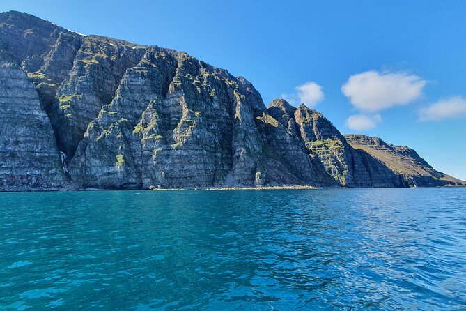 Boat Tours from Siglufjörður - Quick hits on the Siglufjörður Örkin boat experience