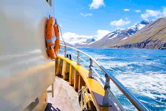 Boat Tours from Siglufjörður - From Siglufjörður to Hvanndalabjarg, what makes this ride special