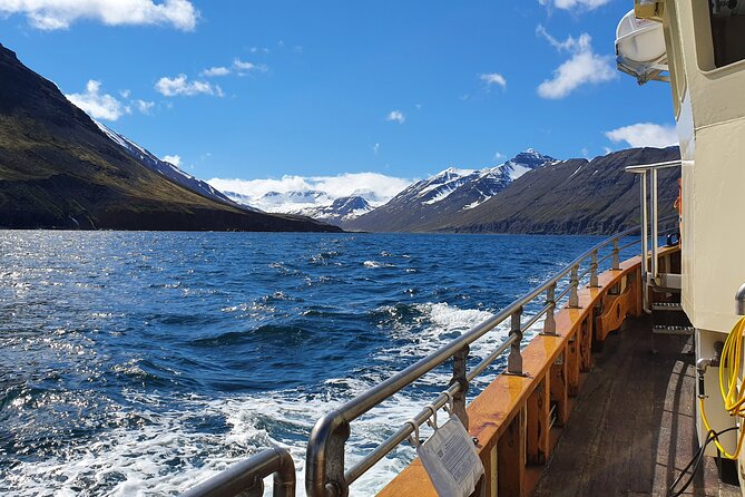 Boat Tours from Siglufjörður - Fishing for cod: hands-on fun, and a surprise meal in some cases