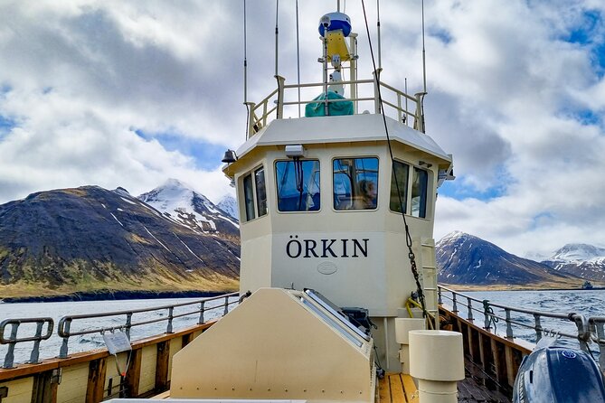 Boat Tours from Siglufjörður - Guides and crew: why Megan Meg and Captain Gunni matter