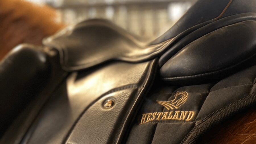 Borgarnes: Horseback Riding Tour with Prep Lesson - Key reasons this 1.5-hour ride works so well