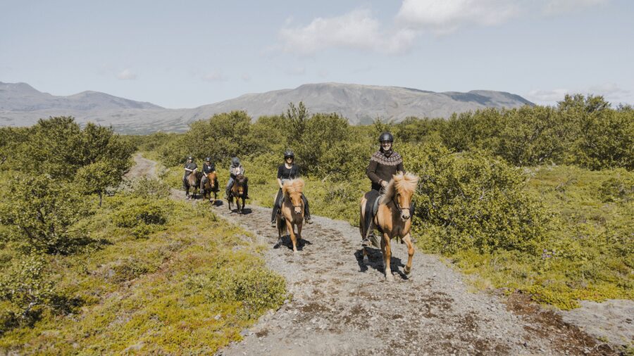 Borgarnes: Horseback Riding Tour with Prep Lesson - Where Hestaland Is, and What You Actually Get in 90 Minutes