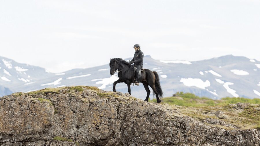 Borgarnes: Horseback Riding Tour with Prep Lesson - The Countryside Ride: Wind, Views, and a Real Guided Pace
