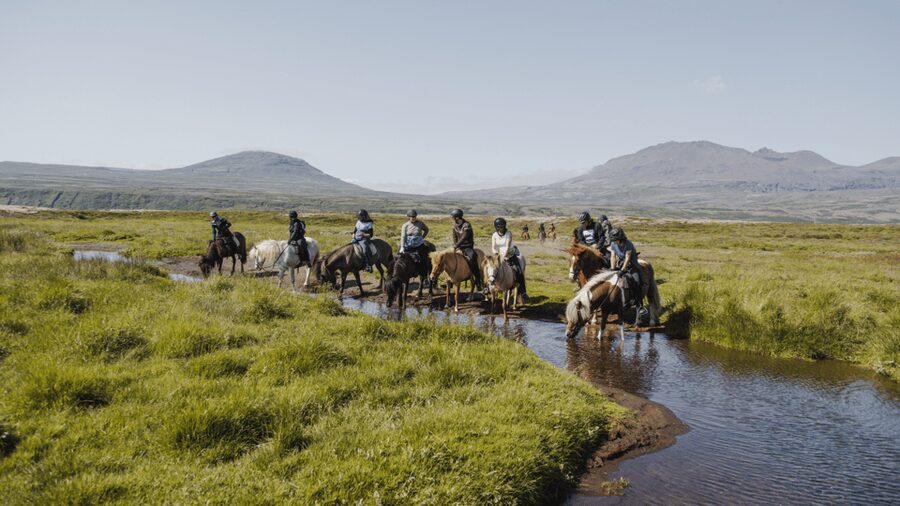 Borgarnes: Horseback Riding Tour with Prep Lesson - Arena Prep Lesson: Your First Win Starts Indoors