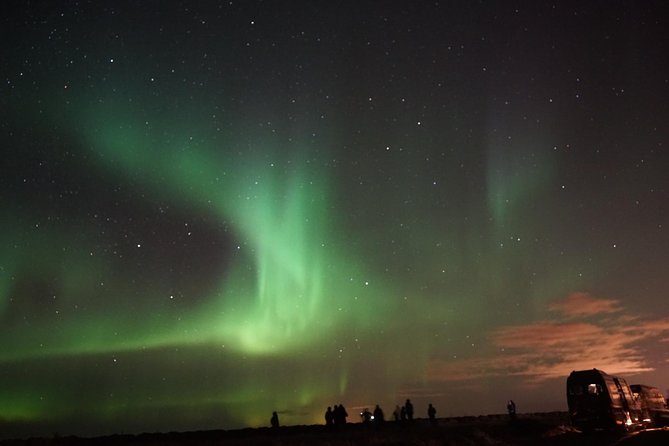 Chasing Aurora Borealis with Warmth and Treats in Premium Tour! - Should you book this Reykjavik northern lights minibus tour?