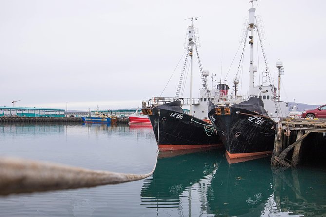 City Sightseeing Reykjavik Hop-On Hop-Off Bus Tour: 24 or 48-Hour - Making the route work with museums, pools, and real closing times