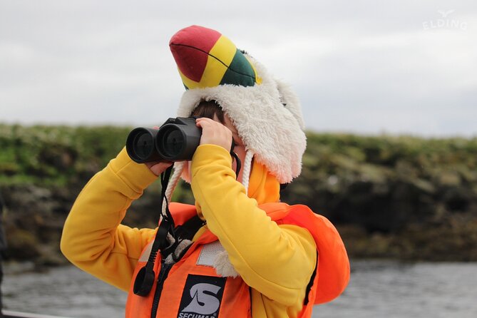 Classic Puffin Watching Cruise from Downtown Reykjavík - Reykjavík viewpoints on the way out: Harpa, Hallgrímskirkja, and Sun Voyager
