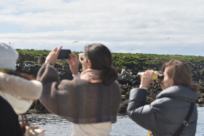 Classic Puffin Watching Cruise from Downtown Reykjavík - Meeting at the Old Harbour and boarding the boat