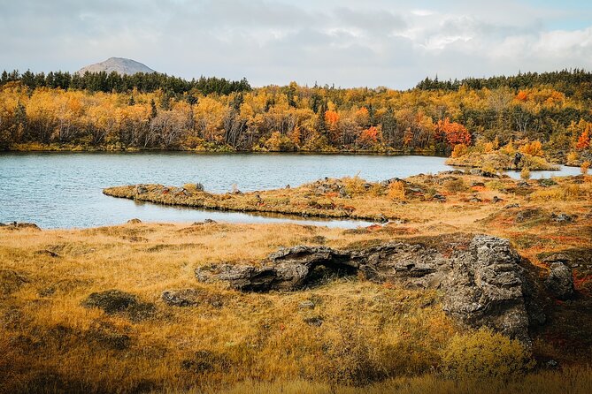 Cruise Tour Godafoss and Myvatn Lake and Baths Small Group - Key Highlights Worth Booking
