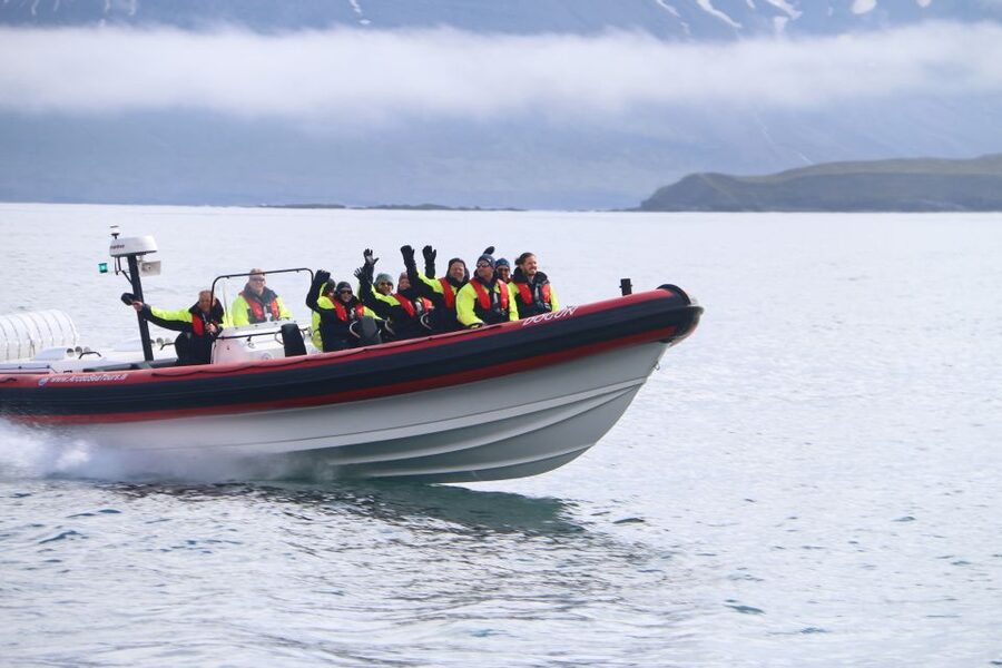 Dalvík: Whale Watching Speedboat Tour - Dalvík, Eyjafjordur, and the logic of chasing whales