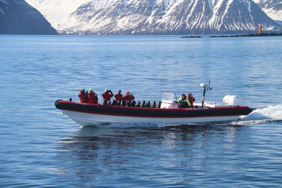 Dalvík: Whale Watching Speedboat Tour - Who should book this Dalvík whale watching speedboat tour