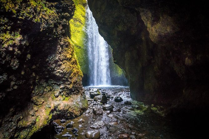 Day Trip to the Hidden Valley of Thor Thorsmork from Reykjavik - Nauthúsagil waterfall ravine: rowan trees, narrow walking, and the final payoff