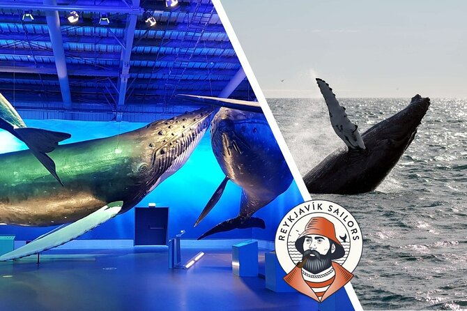 Deluxe Whale Watching and Whales of Iceland Exhibition Combo from Reykjavik - Whales of Iceland Museum: full-scale whale models and an audio app