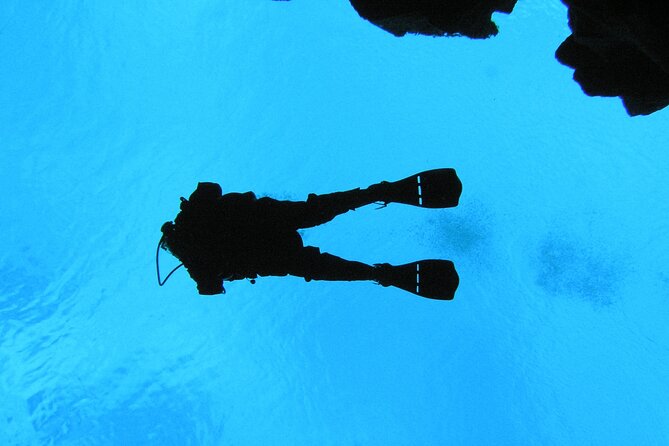 Dive the Divide: Silfra Fissure Scuba Tour | Meet at Thingvellir - Thingvellir to Silfra: why this plan works as a half-day mission