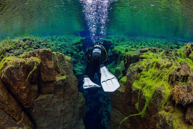 Dive the Divide: Silfra Fissure Scuba Tour | Reykjavik Pickup - Silfra Fissure in Þingvellir: Two Continents, One Waterline
