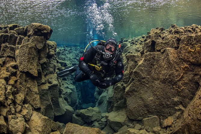 Dive the Divide: Silfra Fissure Scuba Tour | Reykjavik Pickup - Should You Book This Silfra Scuba Session?