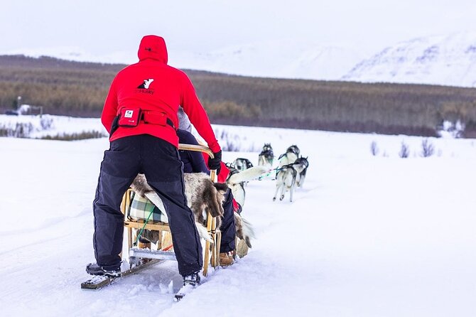 Dog Sledding Tour near Akureyri - Why the small group matters (a lot)