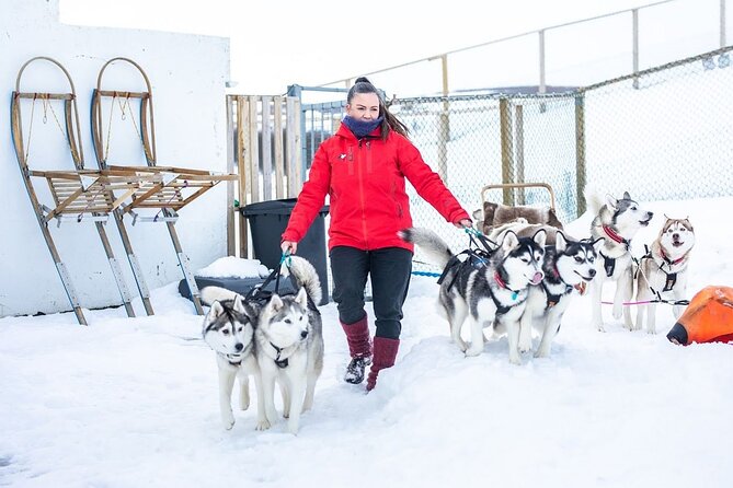 Dog Sledding Tour near Akureyri - Getting there smoothly from Akureyri