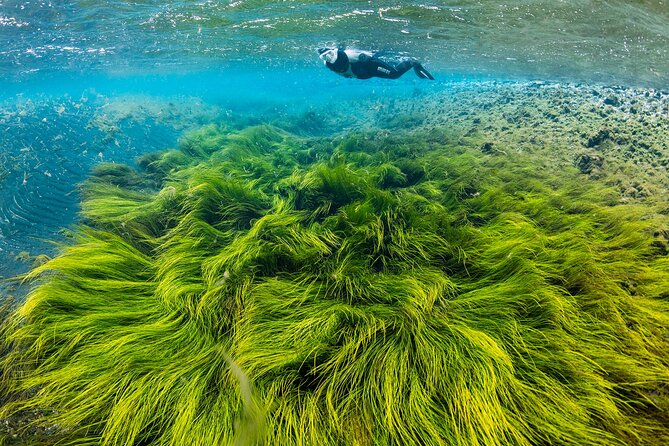 Double Snorkeling Adventure near Húsavík in North Iceland - Key things that make this double snorkeling stand out