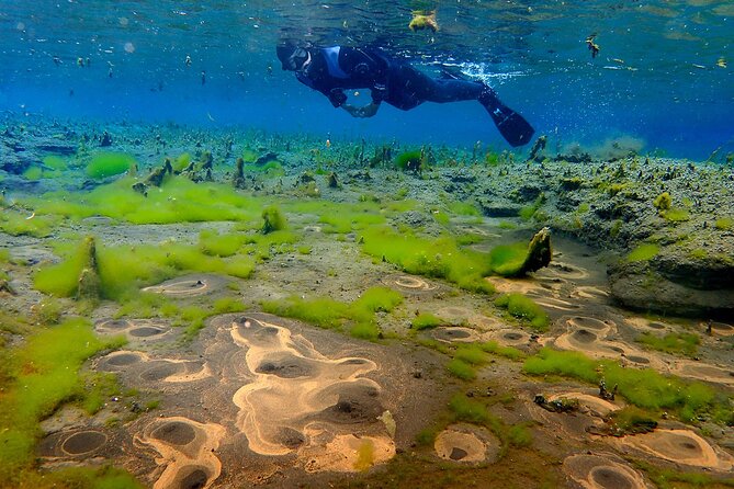 Double Snorkeling Adventure near Húsavík in North Iceland - Nesgjá fissure: the North version of Silfra clarity