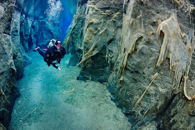 Double Snorkeling Adventure near Húsavík in North Iceland - What the day feels like, step by step