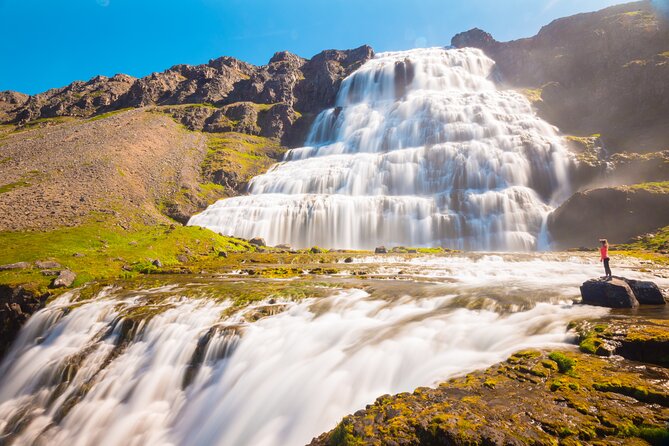 Dynjandi Waterfall & Iceland Farm Visit Tour - On-Board Comfort and Wi-Fi: Small Perks That Make a Difference