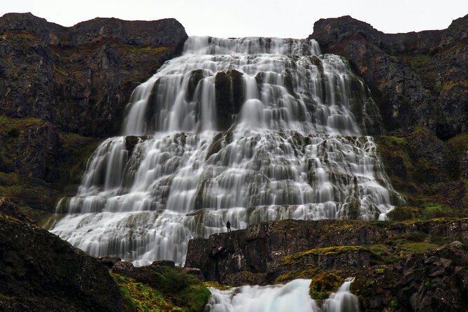 Dynjandi Waterfall & Iceland Farm Visit Tour - Guide Style and Stories: Why Names Like Tom, Rachel, and Captain Thor Matter