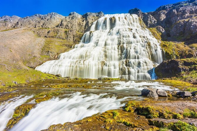 Dynjandi Waterfall & Iceland Farm Visit Tour - Price and Value: Is 149 USD Fair for This Mix?