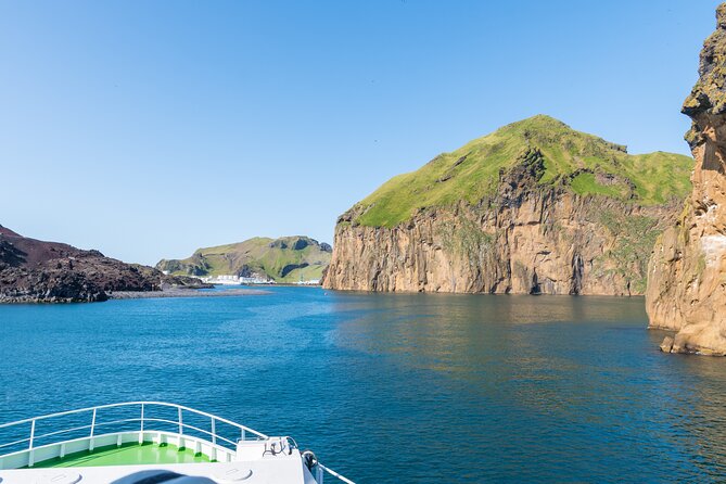 Exclusive Westman Islands Adventure - A Private Day Tour - Stórhöfði puffin colony walk: your 1-hour window with Iceland’s most famous bird