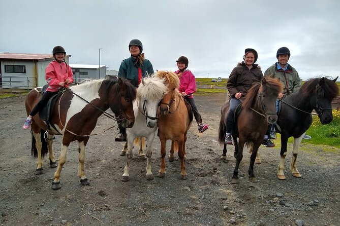 Experience Countryside of Iceland by Horseback Riding - Price and value: what $207 gets you in Iceland time