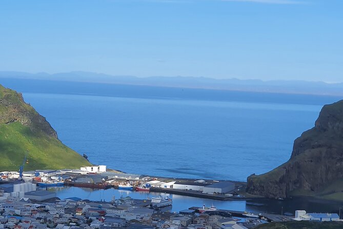 Eyjascooter Puffin Tour in Iceland - Sea Life Trust Museum stop, why it’s a smart add-on