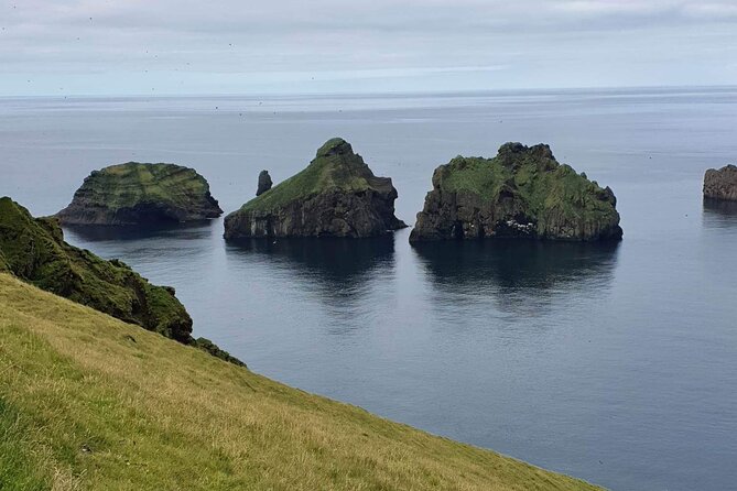 Eyjascooter volcano tour in Westman Island - Wildlife highlights, especially puffins close to you