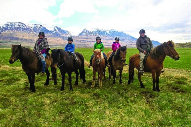 Family Friendly Horse Riding Tour in Skagafjörður - Key things I’d bookmark before you go