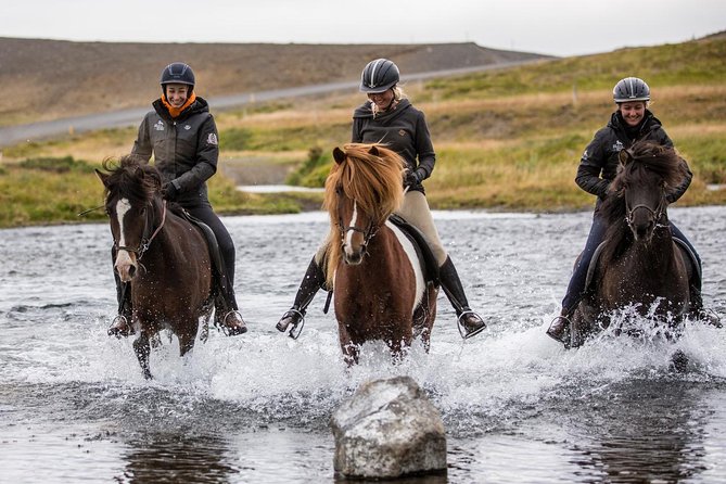 Family Friendly Horse Riding Tour in Skagafjörður - Meeting Hestasport near Varmahlíð (a clear start at 4:00 pm)