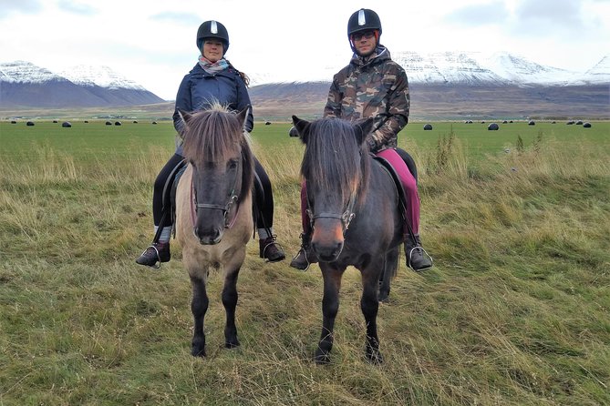 Family Friendly Horse Riding Tour in Skagafjörður - The one-hour ride: ridges, streams, and a real Iceland feel