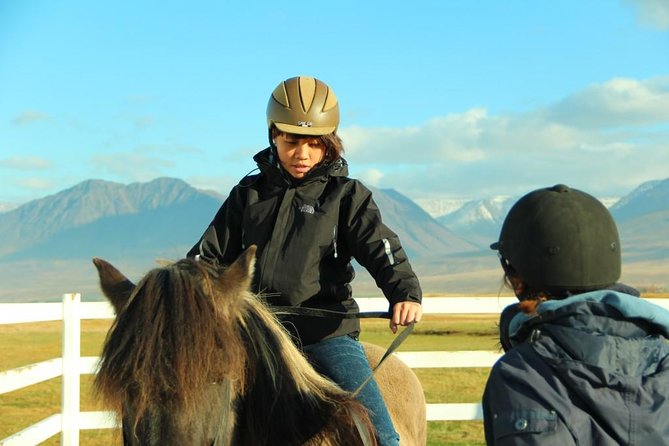 Family Friendly Horse Riding Tour in Skagafjörður - Gentle Icelandic horses and the guide’s safety rhythm