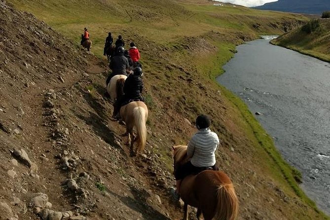 Family Friendly Horse Riding Tour in Skagafjörður - Who should book this tour in Skagafjörður