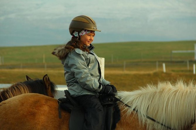 Family Friendly Horse Riding Tour in Skagafjörður - Price and what you actually get for $90.05