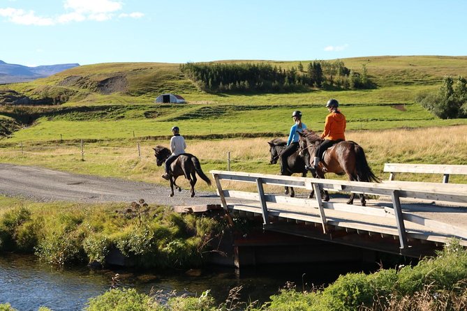 Family Friendly Horse Riding Tour in Skagafjörður - Weather reality: dress for wind and changing conditions
