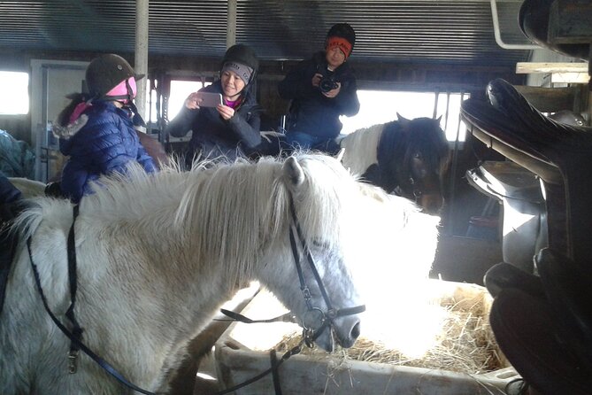 Family Horse Riding Tour in Thorlakshofn - Key points to know before you book