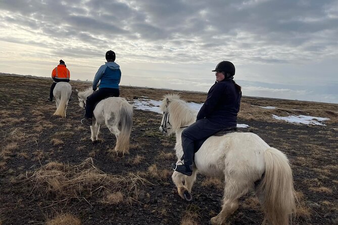 Family Horse Riding Tour in Thorlakshofn - Difficulty level: family-friendly name, experienced rider requirement