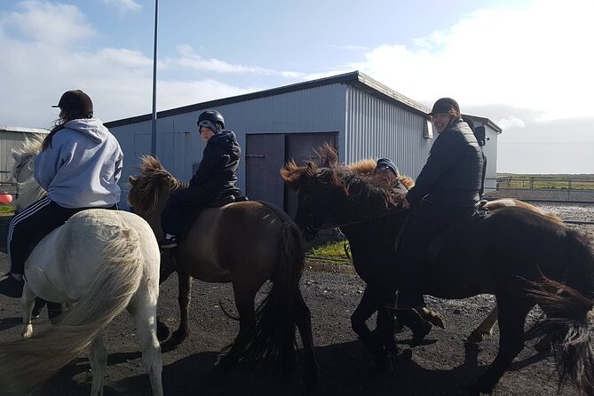 Family Horse Riding Tour in Thorlakshofn - Krýsuvík lava fields: steam, sea, and big Iceland weather