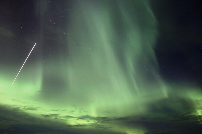 Forest Lagoon and Northern Lights Guided Night Tour - Key things I’d plan around