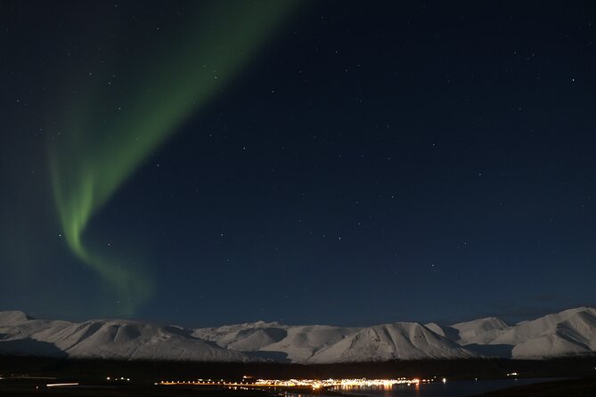 Forest Lagoon and Northern Lights Guided Night Tour - Timing, Weather, and What to Bring for a Winter Night